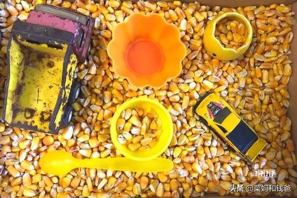 益智类游戏暗藏软思路情内容：透视、脱衣成闯关密钥